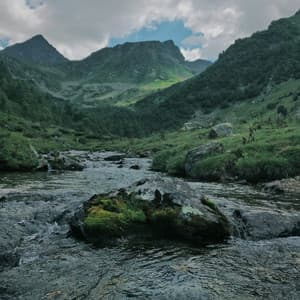 50 Ambient Rains: Flooded - Meditation Rain Sounds