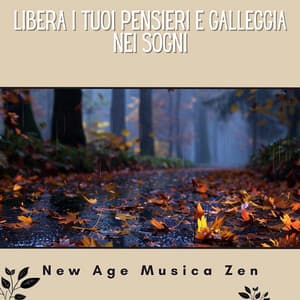 Libera i tuoi pensieri e galleggia nei sogni - New Age Musica Zen
