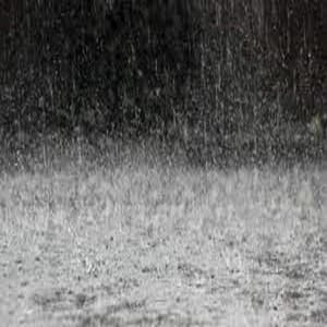 Gentle Rains - Nature Sounds for Concentration