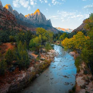 Insomnia Cure White Sleep Noise - Black Noise Sleep