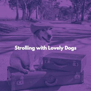 Strolling with Lovely Dogs - Musica para Perros