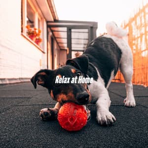 Relax at Home - Light Dinner Music