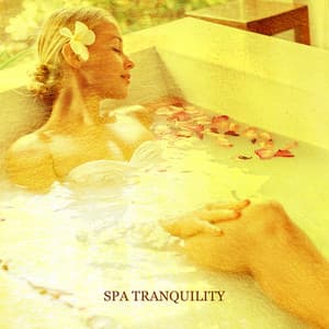 Spa Tranquility: Soothing Music for Home Spa Beauty and Wellness Health - Chill Out 2019