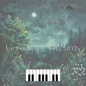 Gossamer Dreams - Spa Passenger