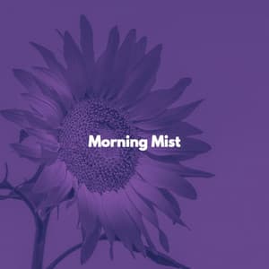 Morning Mist - Brunch Chillout Playlist