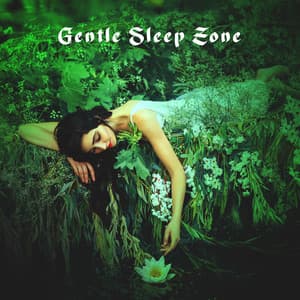 Gentle Sleep Zone: Nature for Relaxation, Irish Sleep Vibes, Stress Relief - Dreaming Sound