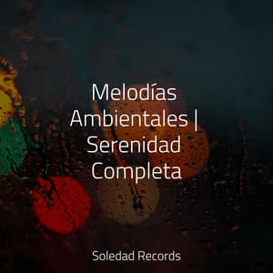Melodías Ambientales | Serenidad Completa - Academia de Relaxamento e Meditação