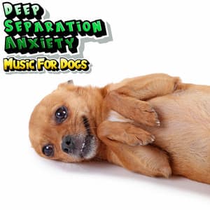 Dog Relaxation & Calming Stress Relief Music - Deep Separation Anxiety Music For Dogs