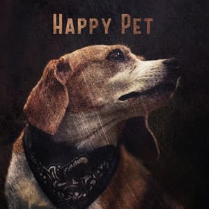 Happy Pet. Relaxing Music to Strengthen the Bond. Adoption, Adaptation of a Pet in a New Home, the Birth of a New Family Member, Illness. Anti-stress, Anti-anxiety, Pain Relief Therapy - Pets Music