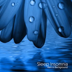 Sleep Insomnia: Rain in Background, Relaxation, Meditation Ambience Zen - Insomnia Meditation Zone