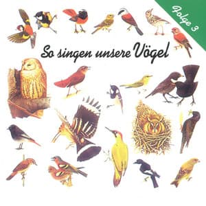 So singen unsere Vögel, Folge 3 - Vogelstimmen