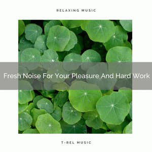 Fresh Noise For Your Pleasure And Hard Work - Baby Shusher And Lullaby