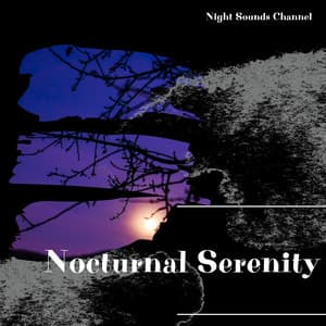 Nocturnal Serenity: Tranquil Nightscapes - Night Sounds Channel