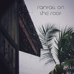 Rainfall On The Roof - Noise Academy