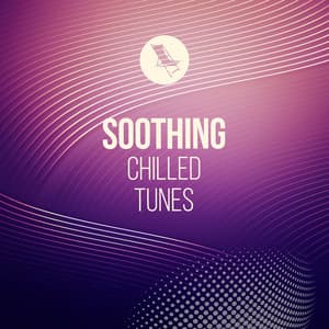 zZz Soothing Chilled Tunes zZz - Palm Analogue