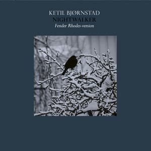 Nightwalker - Ketil Bjørnstad