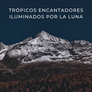 Trópicos Encantadores Iluminados Por La Luna - Resplandor de la naturaleza