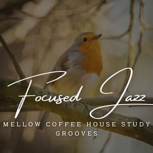 Focused Jazz Flow: Coffee Lounge Concentration - French Jazz Trio