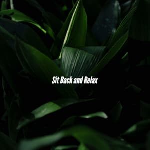 Sit Back and Relax - Upbeat Instrumental Music
