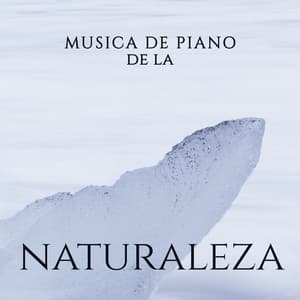 Musica de Piano de la Naturaleza – Musica Relajante para Descansar, Spa, Meditacion, Sueno, Desestresarse y Otras Formas de Relajacion - Piano Suave Relajante