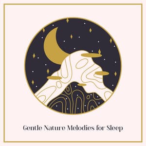 Gentle Nature Melodies for Sleep - Sleepy Music Zone