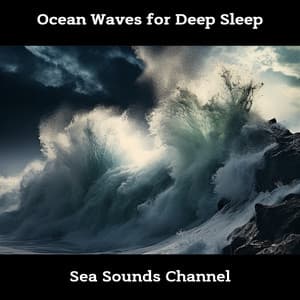Ocean Waves for Deep Sleep - Sea Sounds Channel