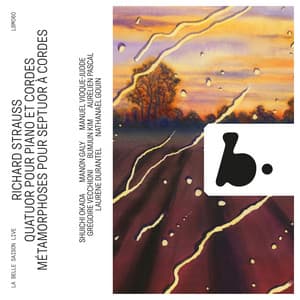 Strauss: Piano Quartet, Op. 13 - Metamorphosen for String Septet - Richard Strauss