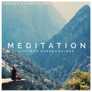 Meditation Outdoor Surroundings - Forest Soundscapes
