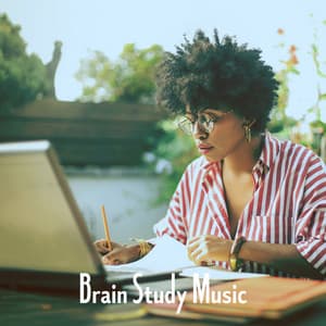 Brain Study Music - Classical Study Music