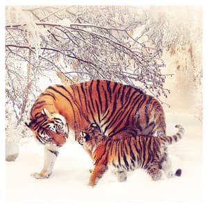 Music Just for You - Baby Sleep Music