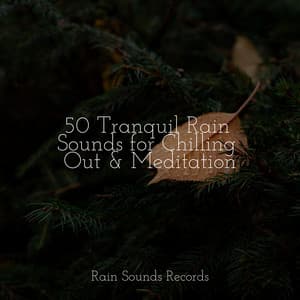 50 Tranquil Rain Sounds for Chilling Out & Meditation - Spa Relaxation