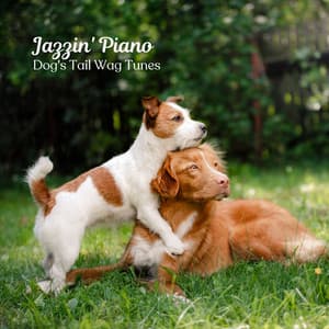 Jazzin' Piano: Dog's Tail Wag Tunes - Jazz Chill Out Relax