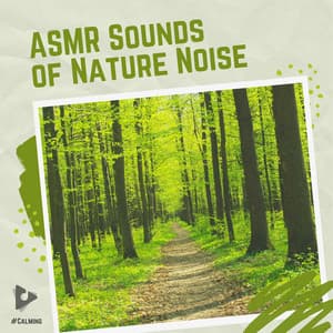 ASMR Sounds of Nature Noise - #Calming
