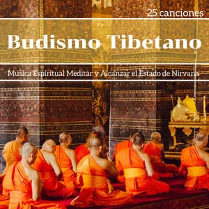 Budismo Tibetano 25 Canciones - Música Espiritual - Monjes Tibetanos