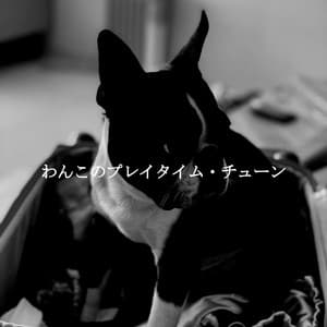 わんこのプレイタイム・チューン - Classic Jazz Music