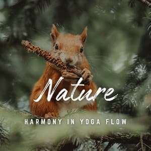 Yoga Sanctuary: Natural Serenity - Yogi Zone