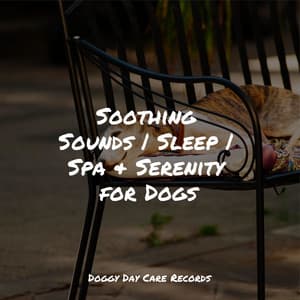 Soothing Sounds | Sleep | Spa & Serenity for Dogs - Sleep Music For Dogs