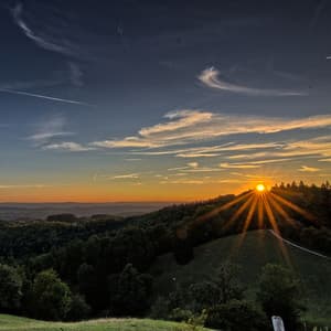 Sunrise Serenade: Nature's Awakening Melodic Dance - Plant Frequencies Collective