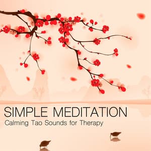 Simple Meditation - Calming Tao Sounds for Therapy, Healing Sound for Therapeutic Touch - China Zen Tao