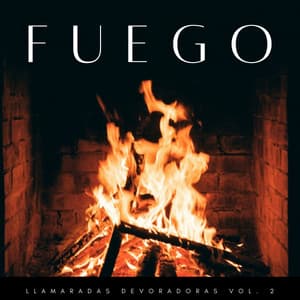 Fuego: Llamaradas Devoradoras Vol. 2 - Bosque Negro