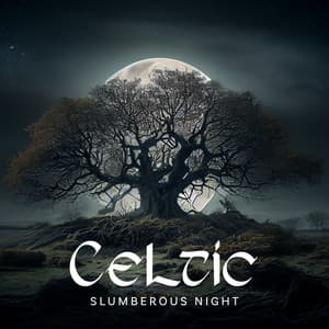 Celtic Slumberous Night: Dreamy Sleep Frequency, Quiet Peaceful Night - Good Night Unit