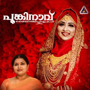 Poonkinavu - Bappu Velliparamba