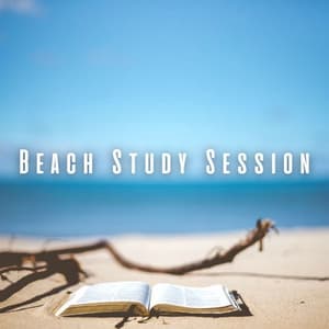 Beach Study Session: Rain Meditation for Focused Learning - The Power of Rain