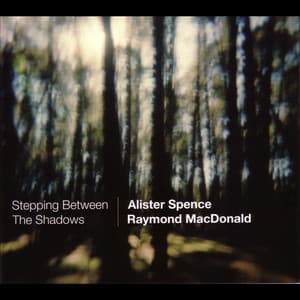Stepping Between the Shadows - Alister Spence