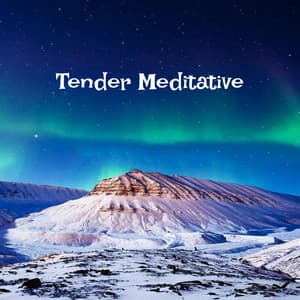Tender Meditative - Relaxing Piano Music