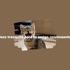 Jazz tranquilo para tu amigo ronroneante - Jazz for Working Playlist