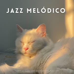 Tiempo De Piano: Jazz Melódico Con Maullidos - Salón de jazz ambiental