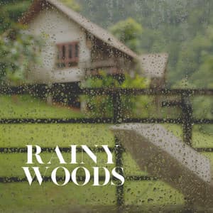 Rainy Woods - Rain Man Sounds