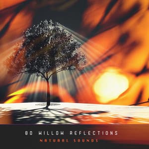 80 Willow Reflections - Natural Sounds