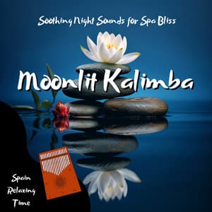 Moonlit Kalimba: Soothing Night Sounds for Spa Bliss - Spain Relaxing Time